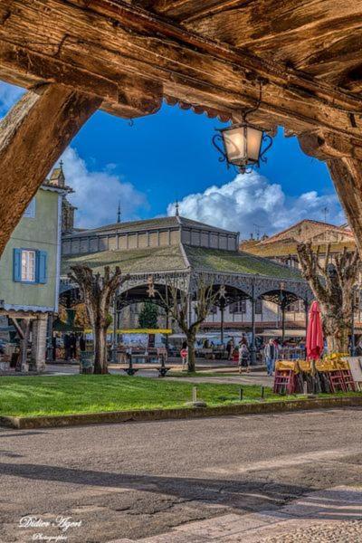 Superbe Appartement Plein Centre, Calme, Netflix Mirepoix (Ariege) Exterior foto